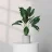 pottedplant